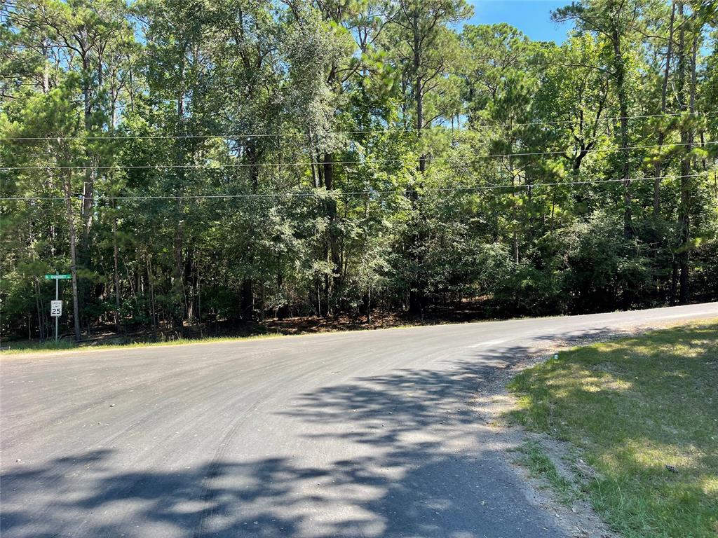 S Sunset Drive, Onalaska, Texas image 10