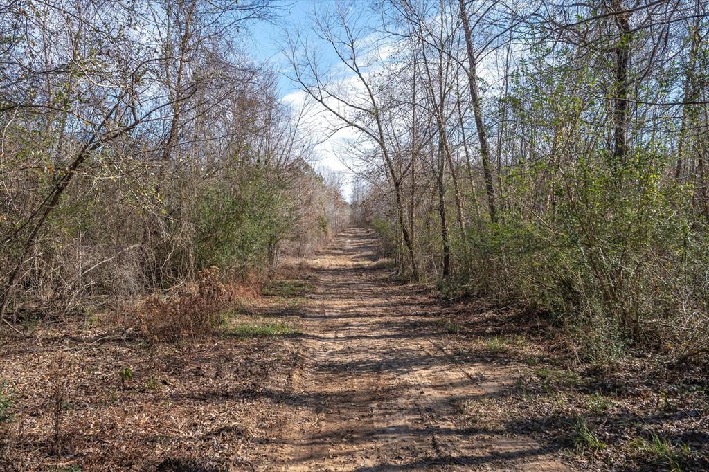 Tbd County Road 4812, Ben Wheeler, Texas image 11