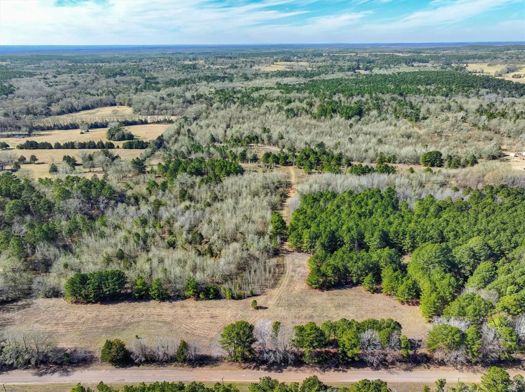 Tbd County Road 4812, Ben Wheeler, Texas image 6