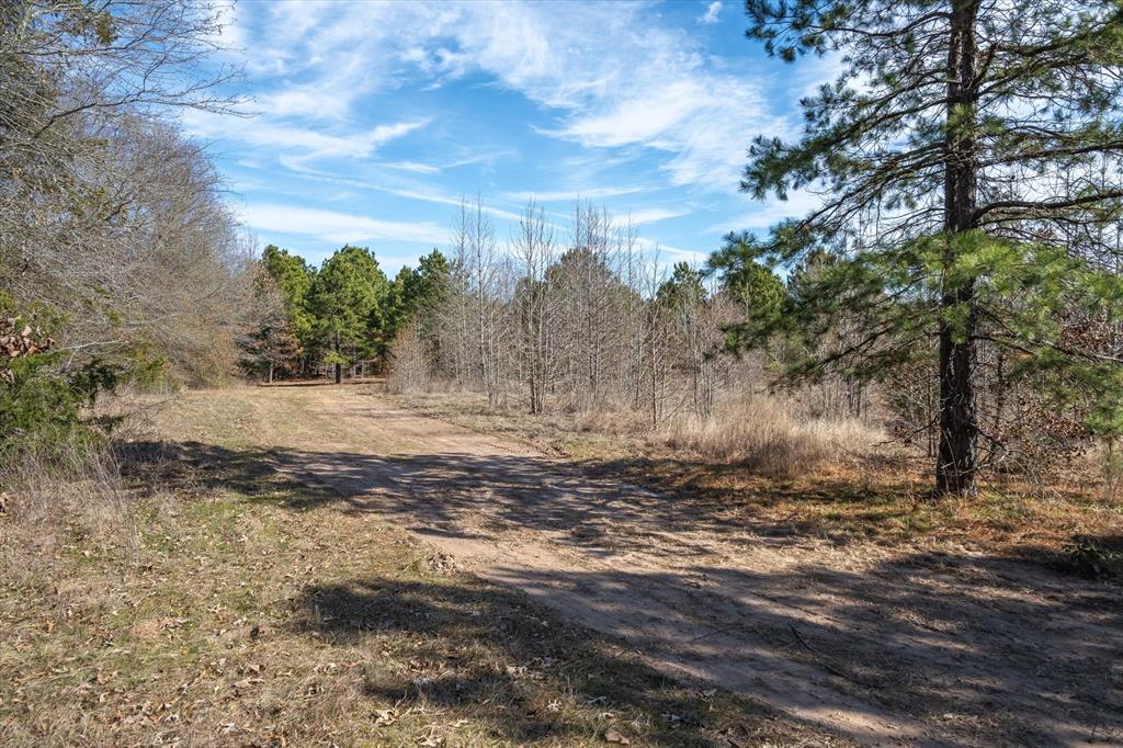 Tbd County Road 4812, Ben Wheeler, Texas image 13