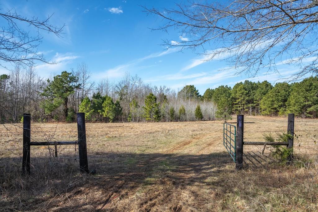 Tbd County Road 4812, Ben Wheeler, Texas image 3