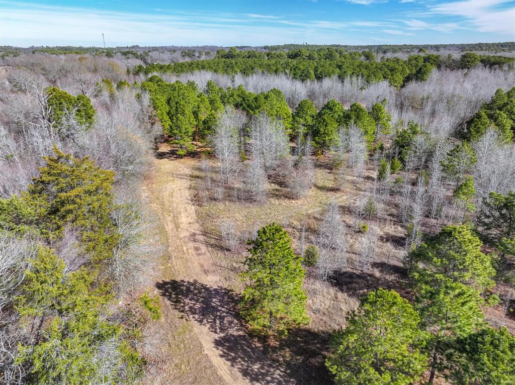 Tbd County Road 4812, Ben Wheeler, Texas image 5