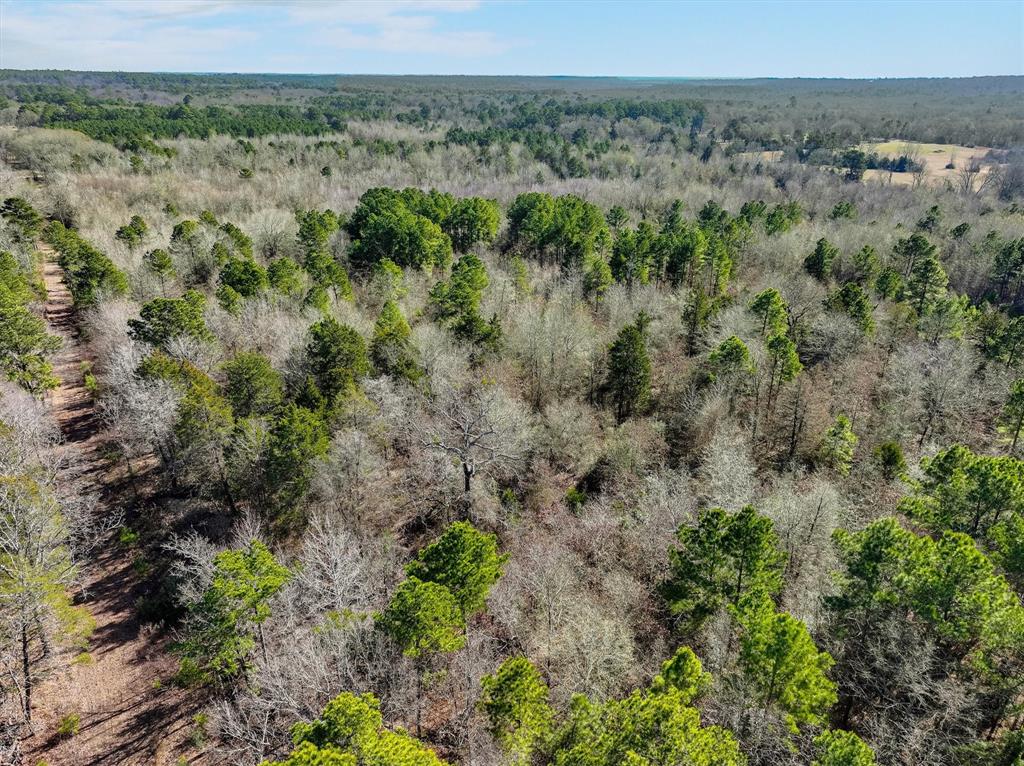 Tbd County Road 4812, Ben Wheeler, Texas image 8