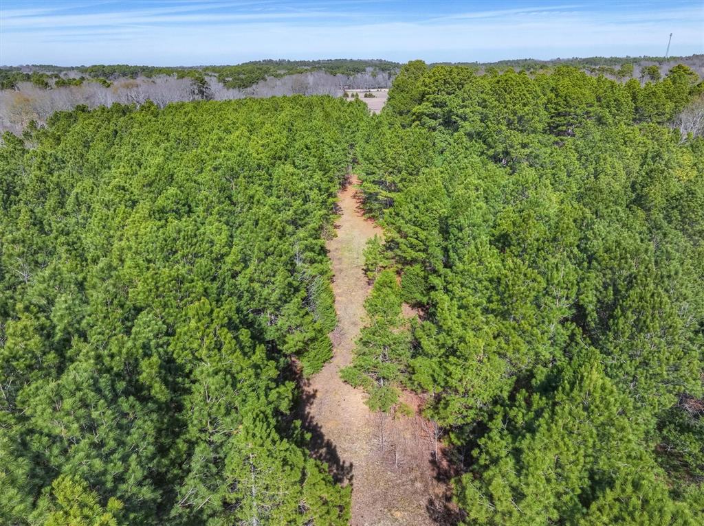 Tbd County Road 4812, Ben Wheeler, Texas image 9