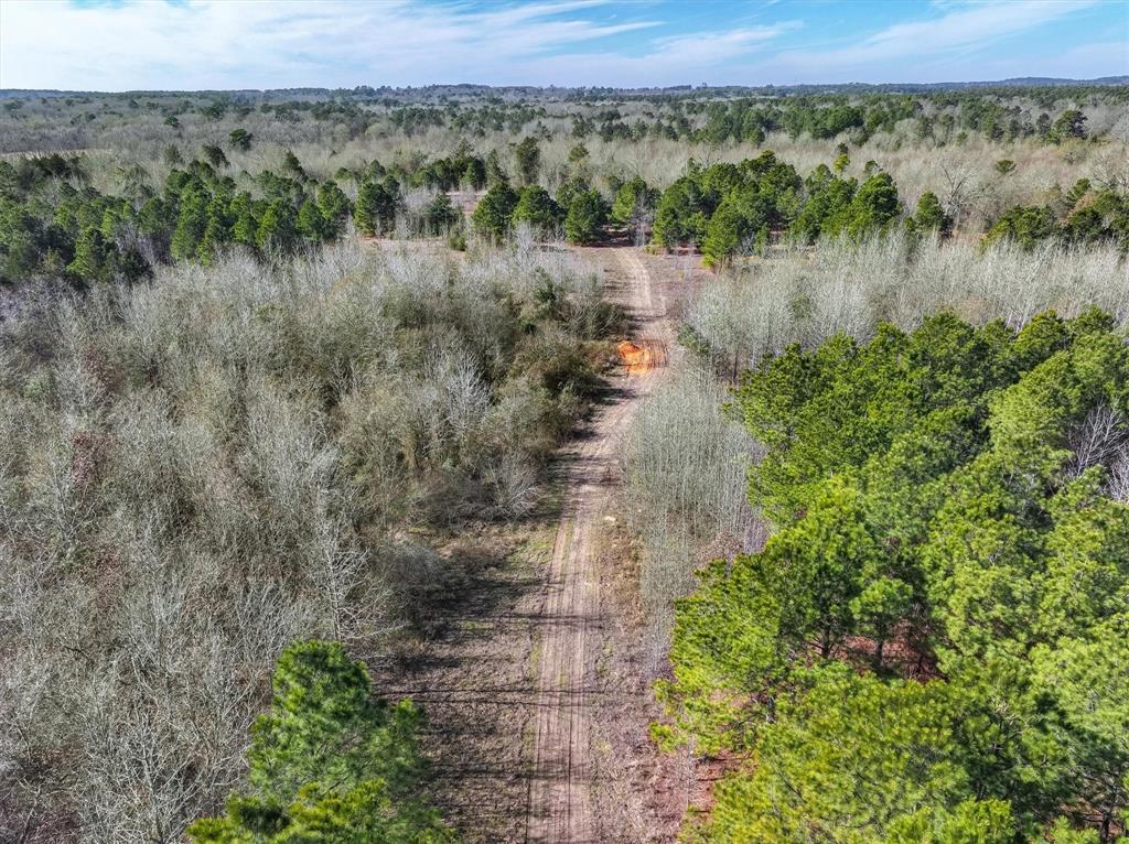 Tbd County Road 4812, Ben Wheeler, Texas image 7