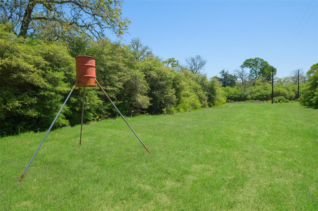 24718 Squirrel Road, New Ulm, Texas image 5