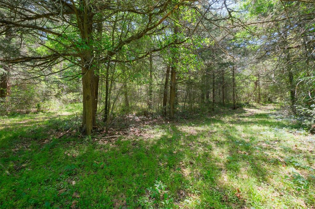 24718 Squirrel Road, New Ulm, Texas image 4