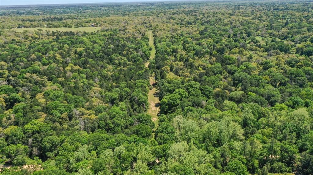 24718 Squirrel Road, New Ulm, Texas image 31