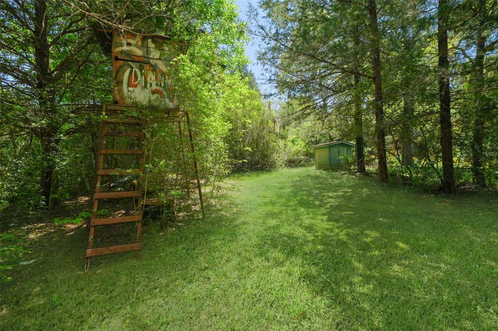 24718 Squirrel Road, New Ulm, Texas image 6