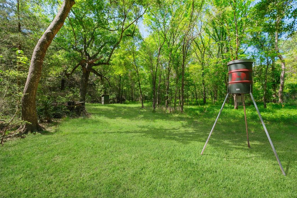 24718 Squirrel Road, New Ulm, Texas image 1