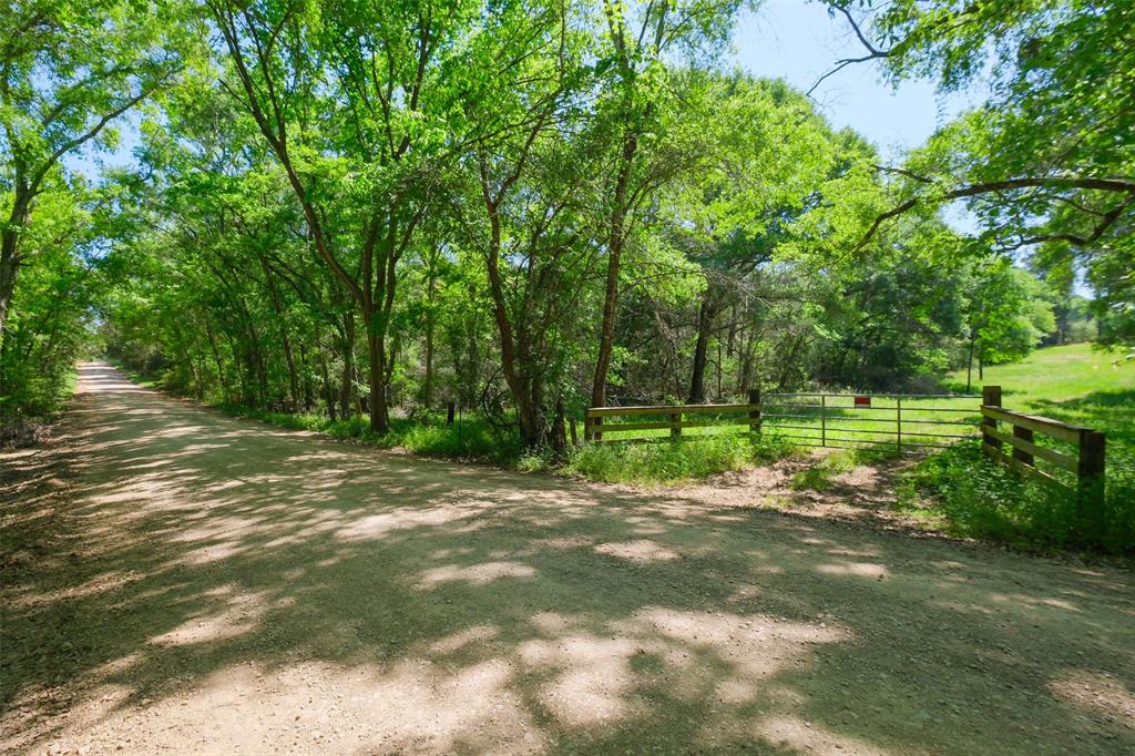 24718 Squirrel Road, New Ulm, Texas image 20