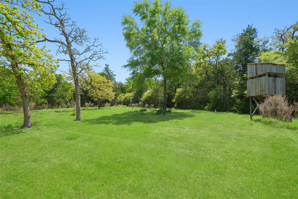 24718 Squirrel Road, New Ulm, Texas image 18