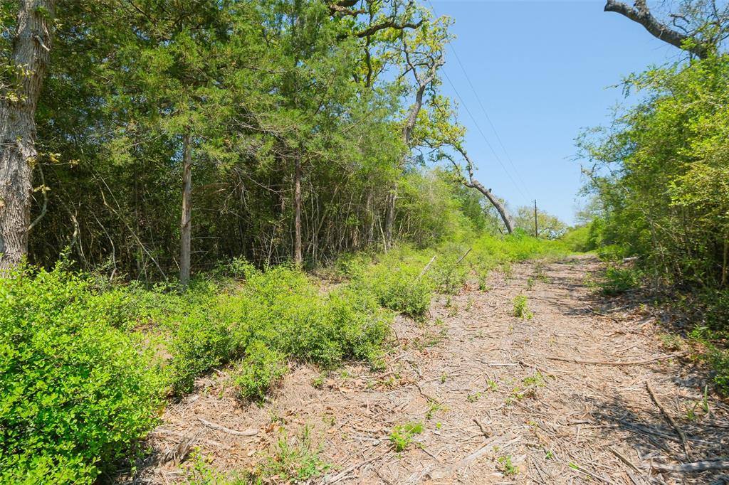24718 Squirrel Road, New Ulm, Texas image 19
