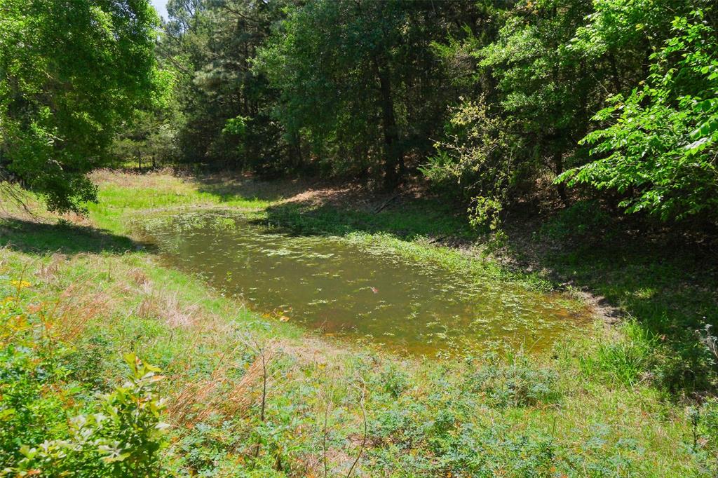 24718 Squirrel Road, New Ulm, Texas image 8