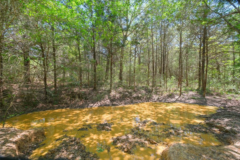 24718 Squirrel Road, New Ulm, Texas image 14
