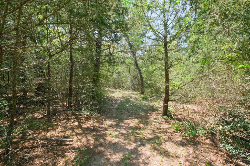 24718 Squirrel Road, New Ulm, Texas image 11