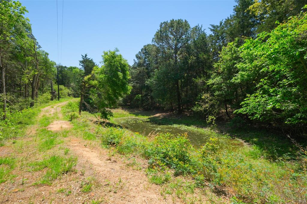 24718 Squirrel Road, New Ulm, Texas image 7