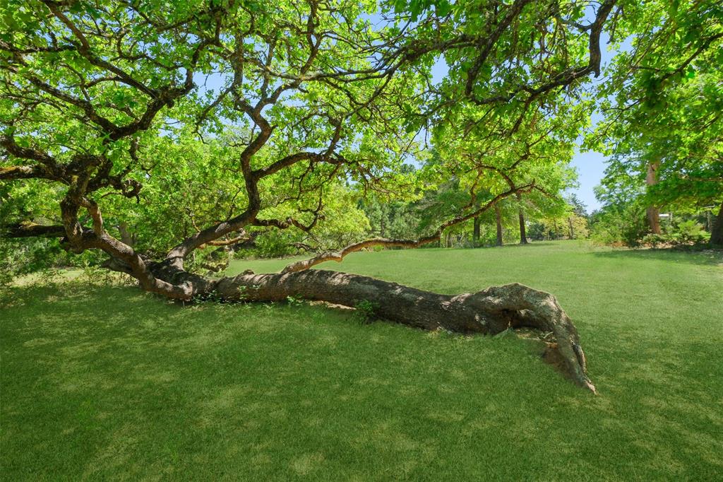 24718 Squirrel Road, New Ulm, Texas image 3