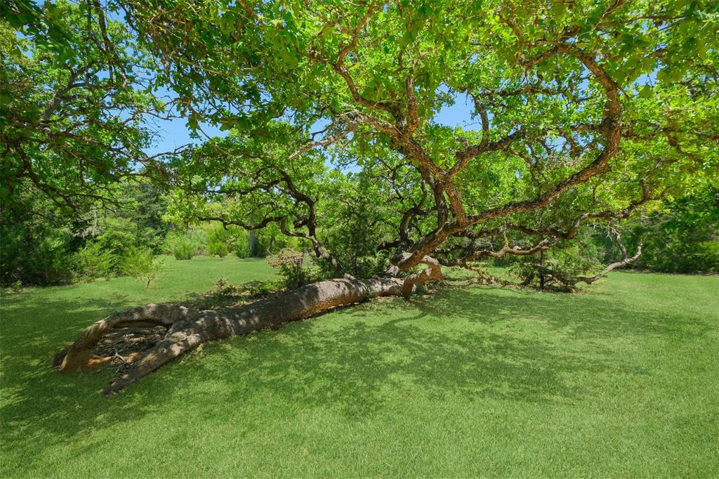 24718 Squirrel Road, New Ulm, Texas image 16