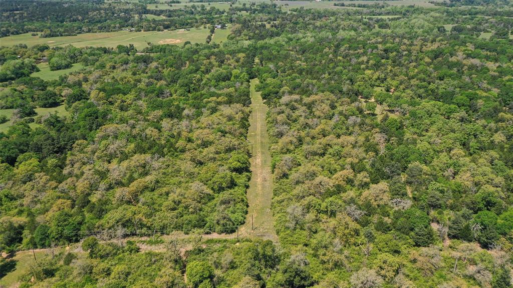 24718 Squirrel Road, New Ulm, Texas image 30