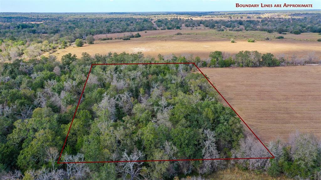 Lot 2 County Rd 229, Bedias, Texas image 5