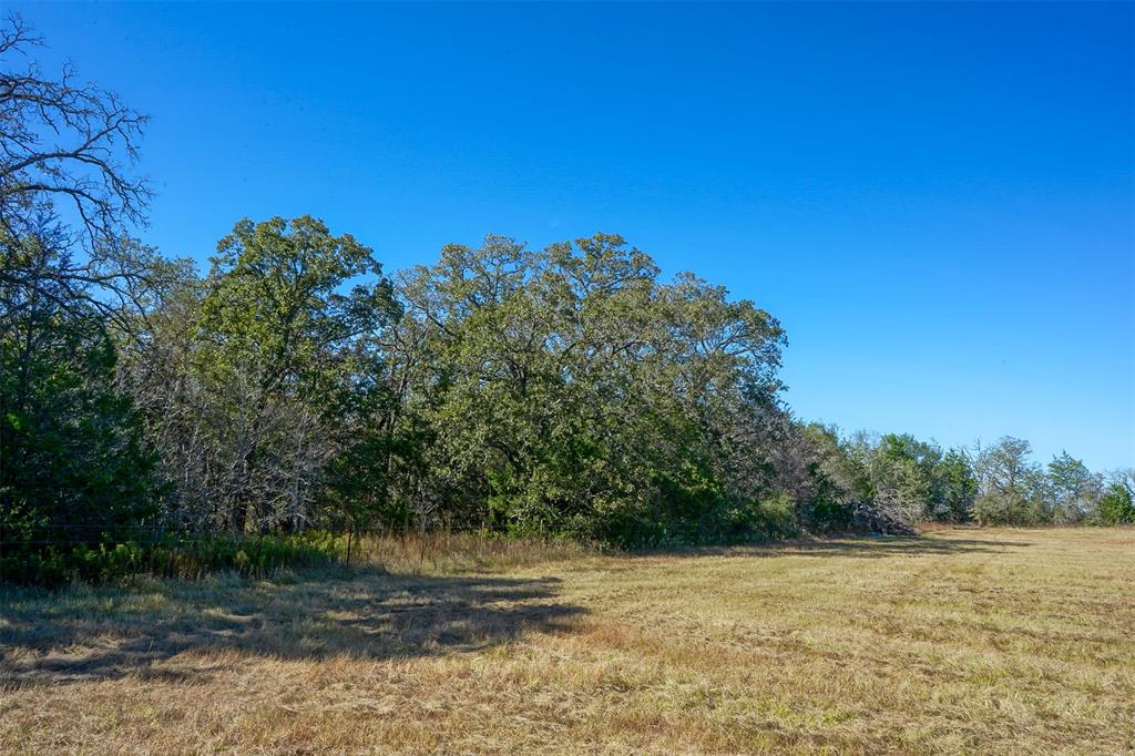 Lot 2 County Rd 229, Bedias, Texas image 3