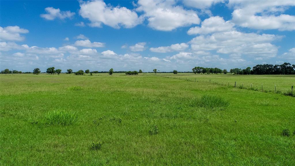 11890 County Road 318, Caldwell, Texas image 13