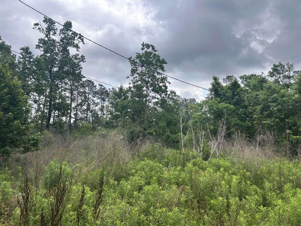 195 Greathouse Street, Vidor, Texas image 2