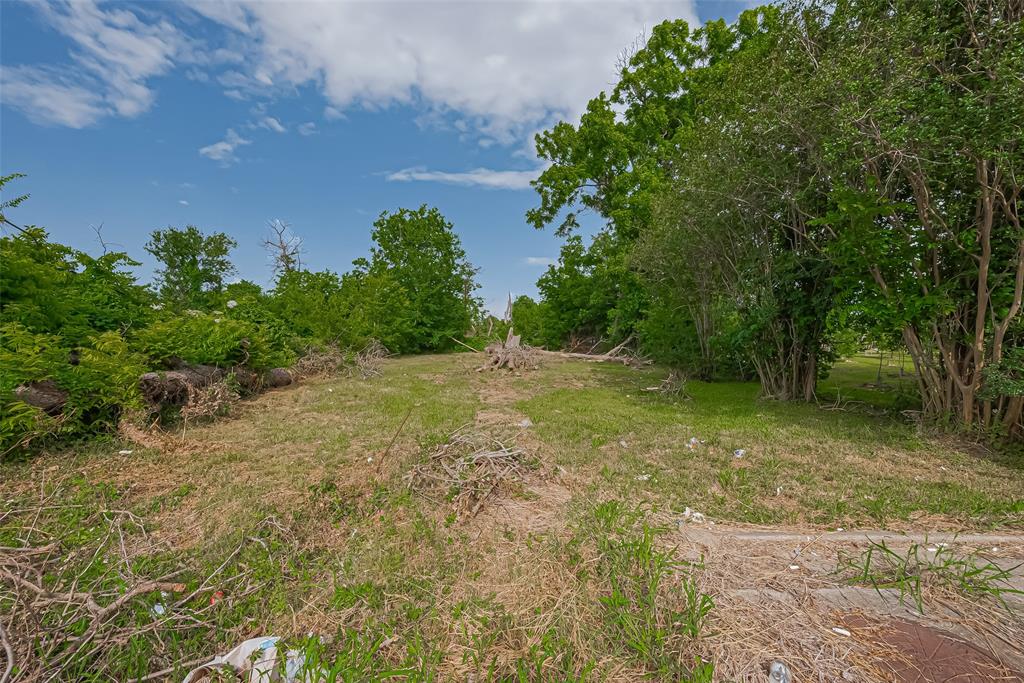 4919 Falls Street, Houston, Texas image 4