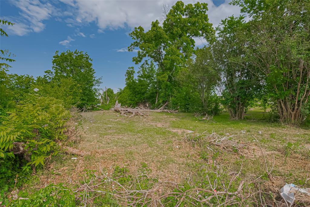 4919 Falls Street, Houston, Texas image 3