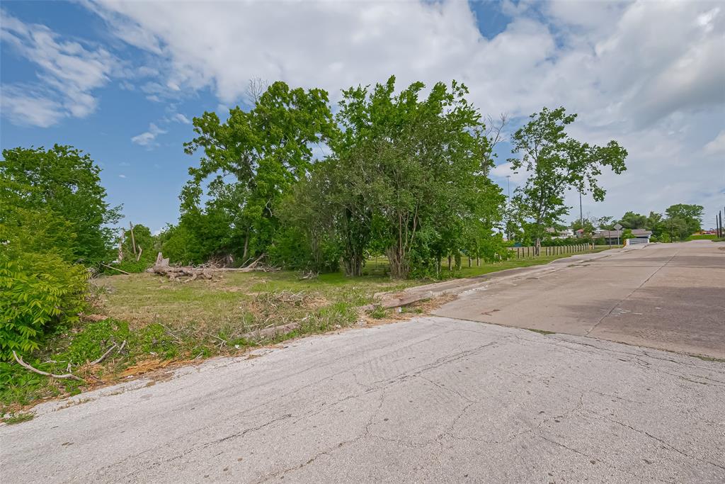 4919 Falls Street, Houston, Texas image 6