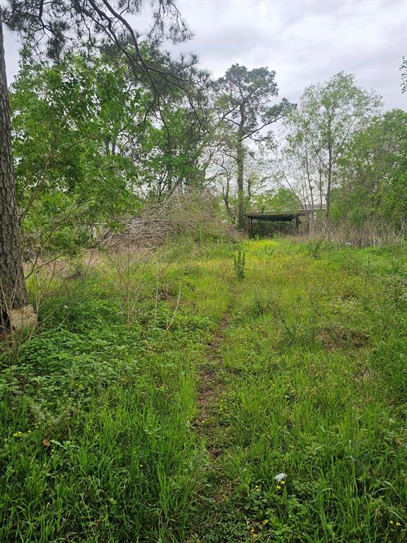 9703 Pineland Road, Houston, Texas image 4