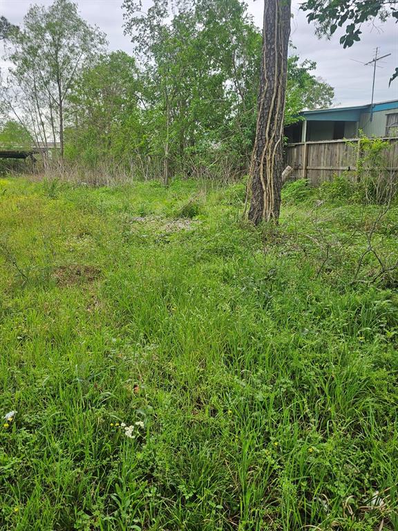 9703 Pineland Road, Houston, Texas image 7