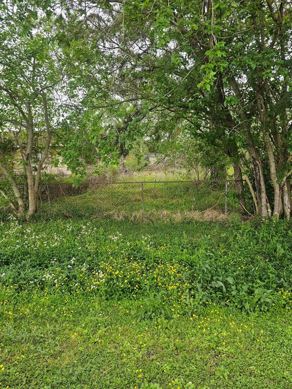 9703 Pineland Road, Houston, Texas image 1