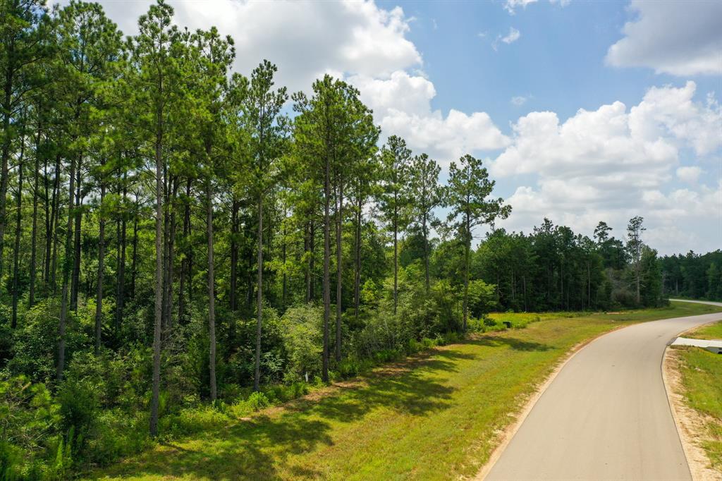 10784 Ruger Road Road, Willis, Texas image 1