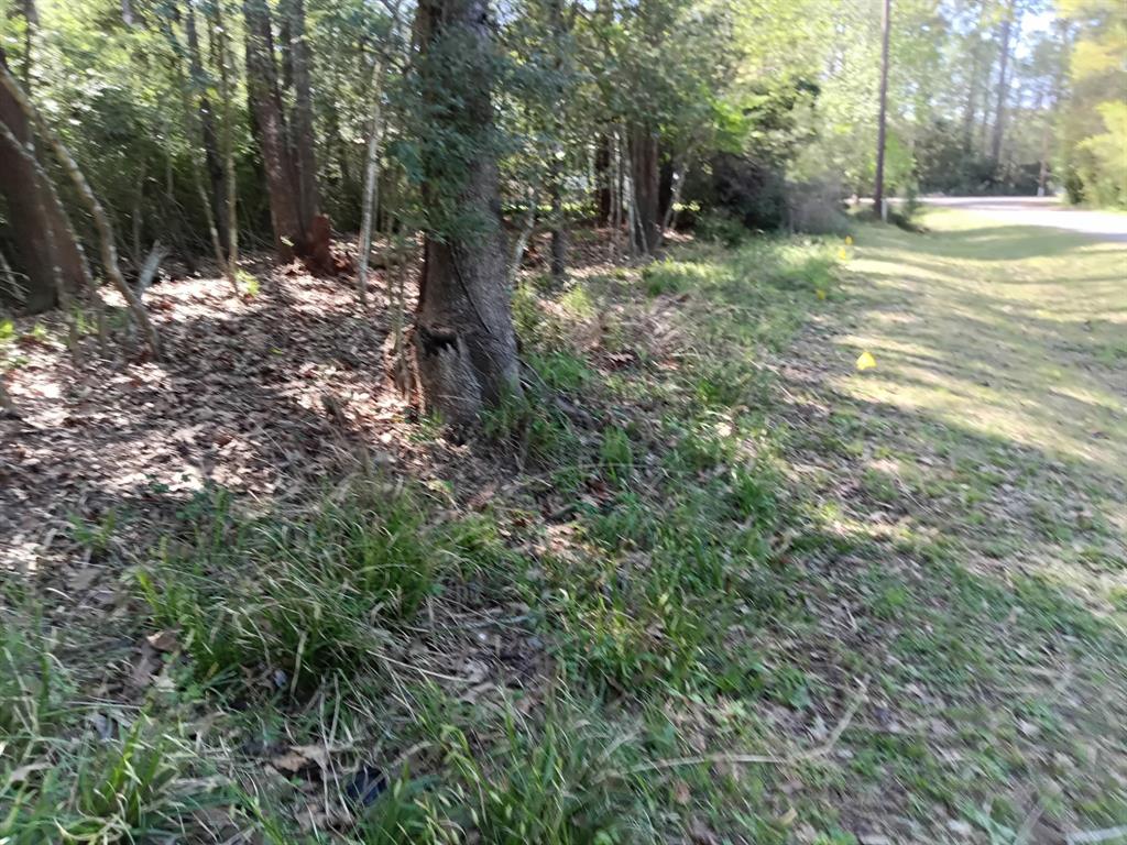 1004 White River Road, Conroe, Texas image 2