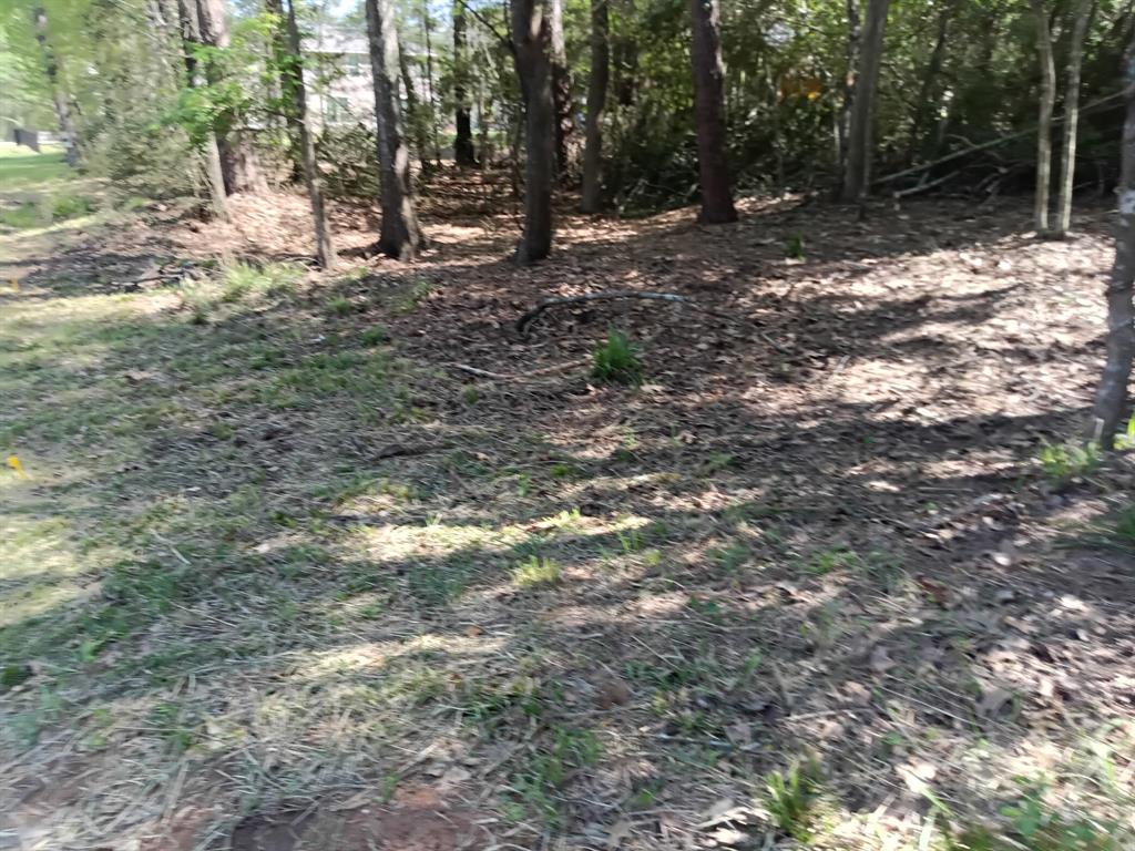 1004 White River Road, Conroe, Texas image 1