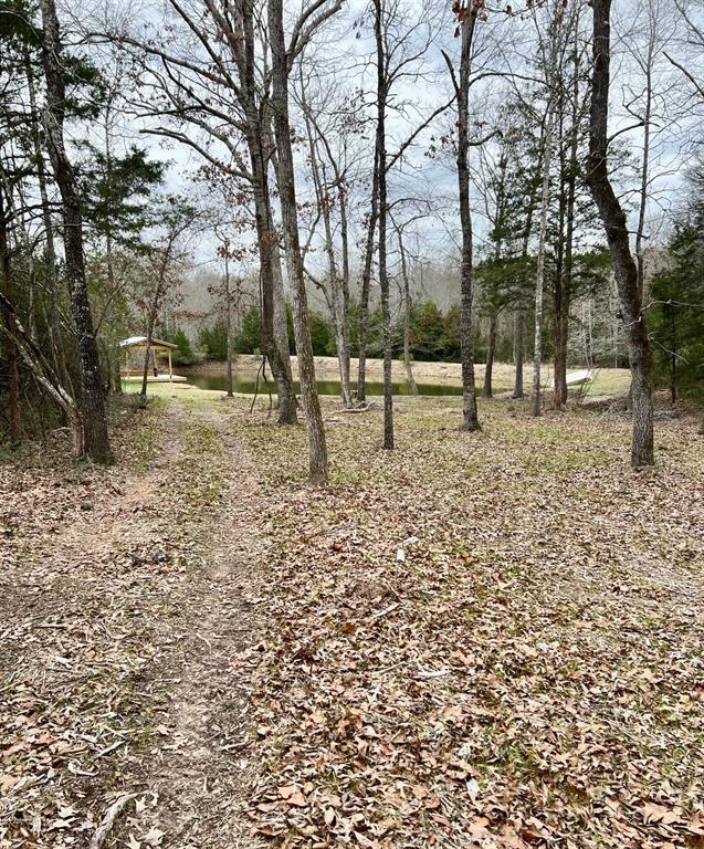 8120 County Road 2761, Buffalo, Texas image 17