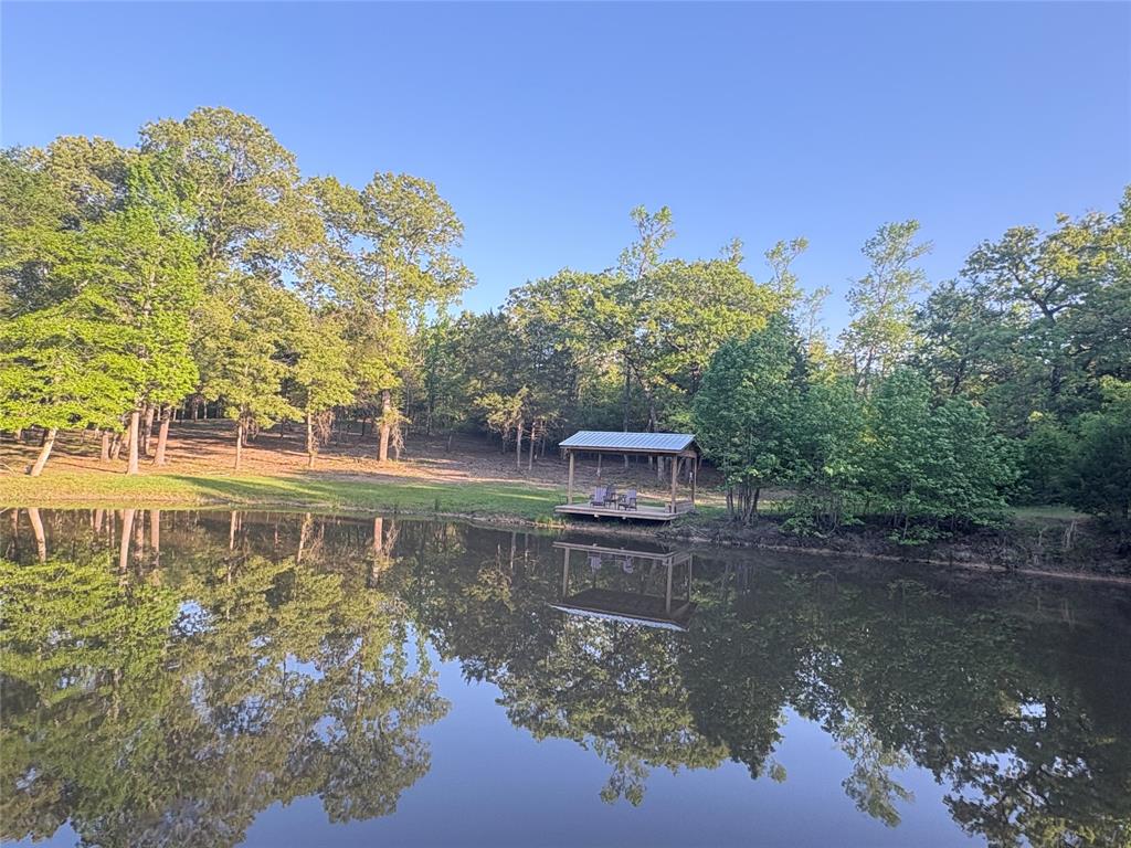 8120 County Road 2761, Buffalo, Texas image 1