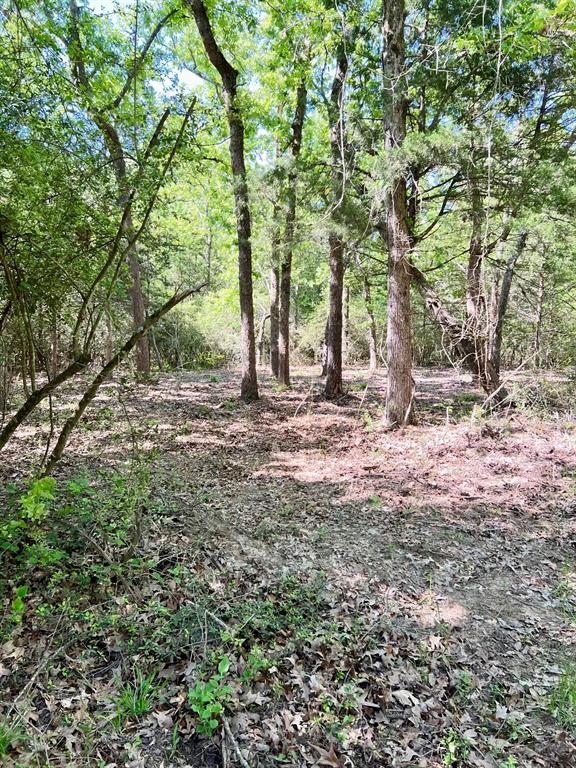 8120 County Road 2761, Buffalo, Texas image 12