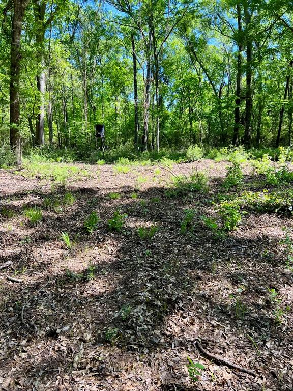 8120 County Road 2761, Buffalo, Texas image 13