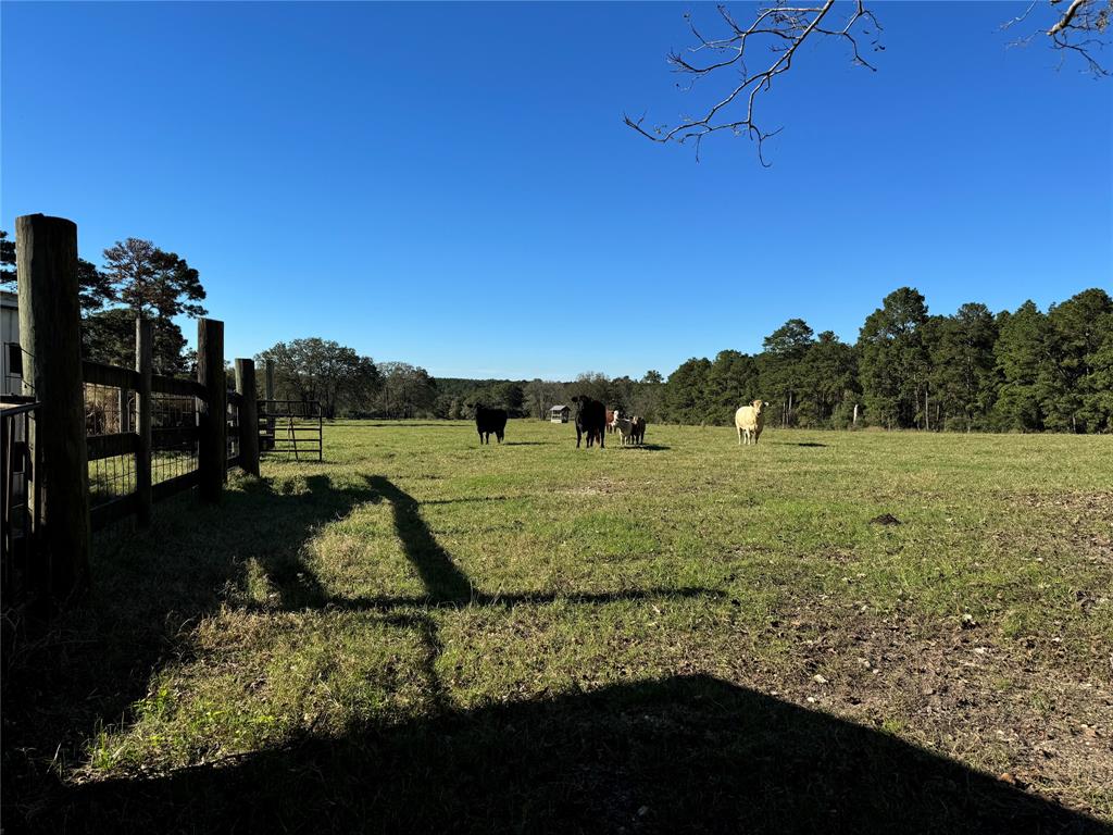 2899 County Road 3260, Colmesneil, Texas image 37