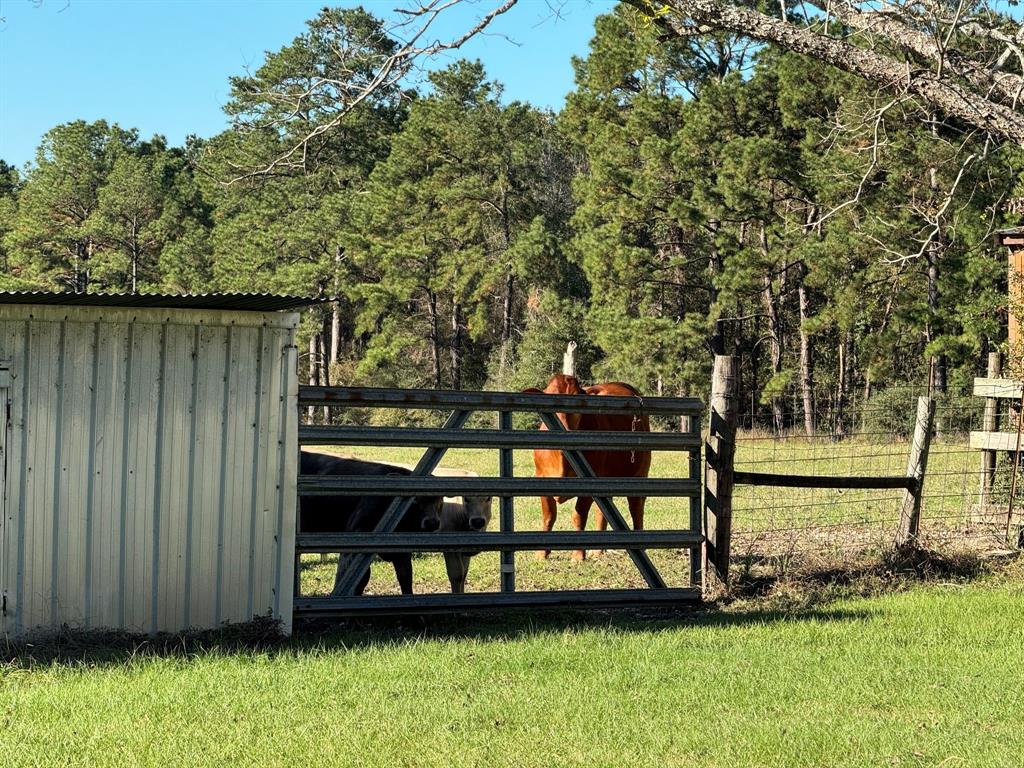 2899 County Road 3260, Colmesneil, Texas image 38