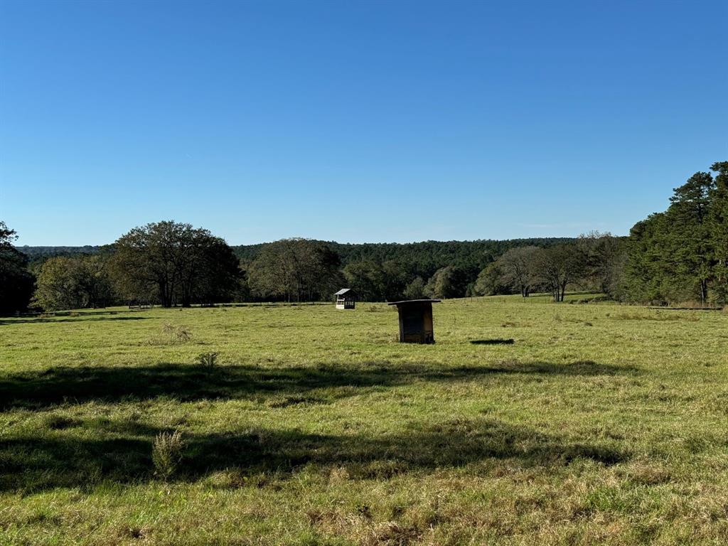 2899 County Road 3260, Colmesneil, Texas image 39