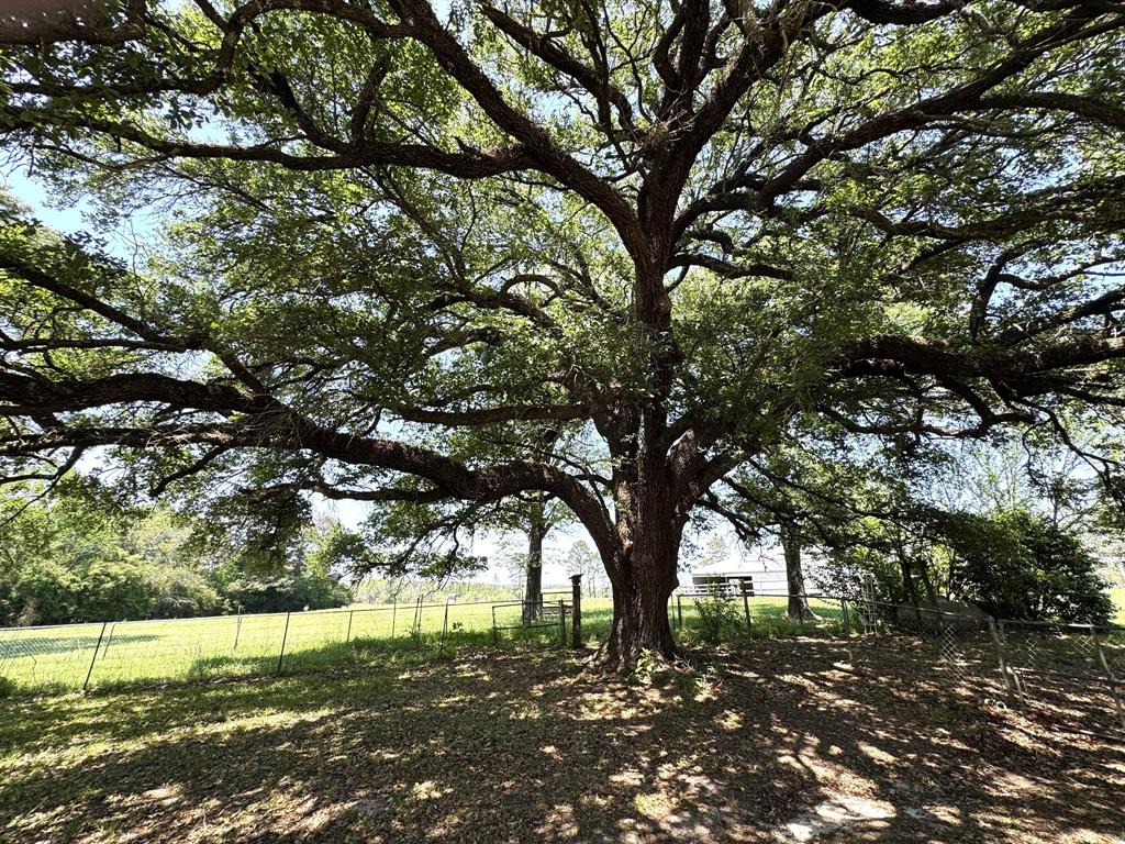 2899 County Road 3260, Colmesneil, Texas image 24