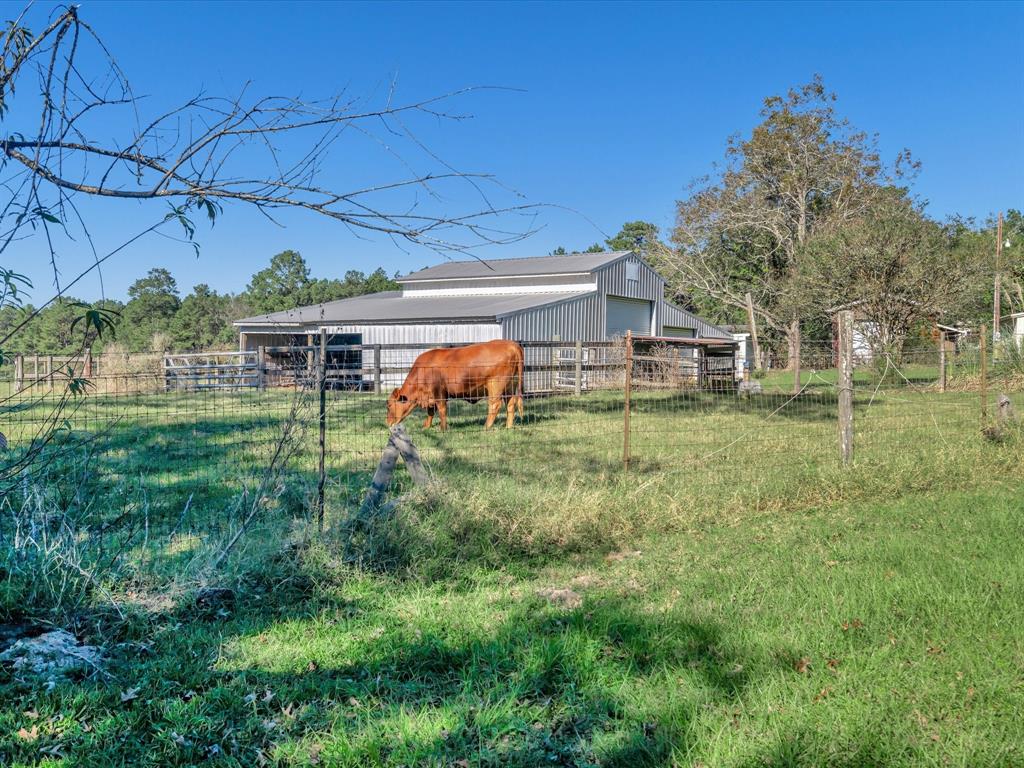 2899 County Road 3260, Colmesneil, Texas image 36