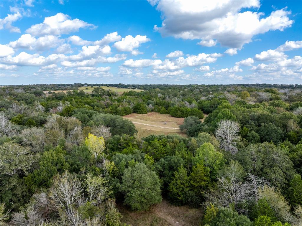 1911 Willow Springs Road, Fayetteville, Texas image 22