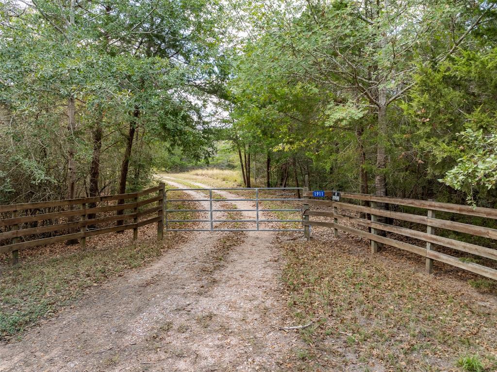 1911 Willow Springs Road, Fayetteville, Texas image 4