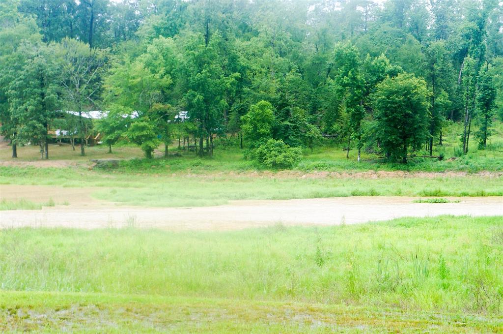317 Hickory Drive, Livingston, Texas image 20