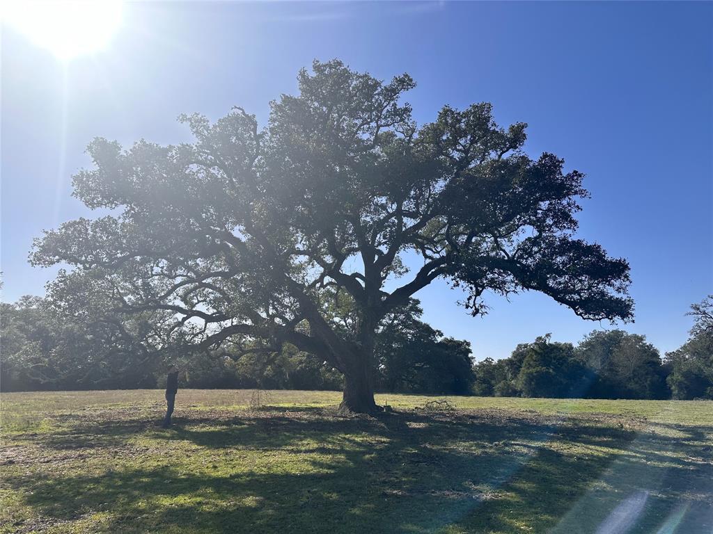 William Penn, Washington, Texas image 11